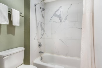 Suite, 1 King Bed with Sofa bed
