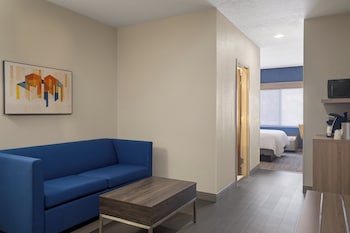 Suite, 1 King Bed, Mountain View