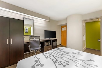 Room, 1 Queen Bed, Accessible, Non Smoking (Mobility, Roll-In Shower)