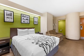 Room, 1 Queen Bed with Sofa bed, Non Smoking