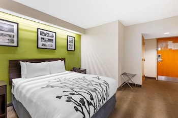 Room, 1 Queen Bed, Non Smoking