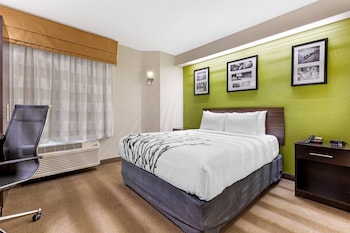 Room, 1 Queen Bed, Non Smoking