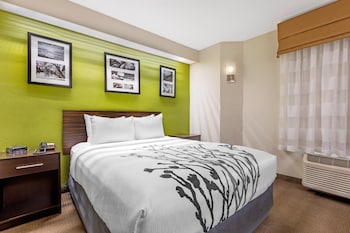 Room, 1 Queen Bed, Accessible, Non Smoking (Mobility, Roll-In Shower)