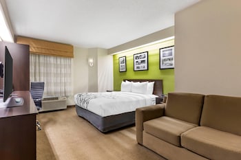 Room, 1 Queen Bed with Sofa bed, Non Smoking