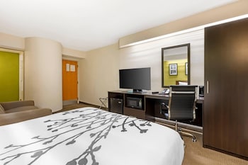 Room, 1 Queen Bed with Sofa bed, Non Smoking