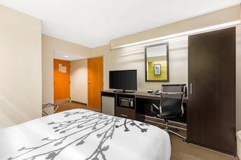 Room, 1 Queen Bed, Non Smoking