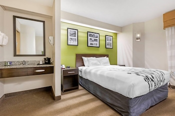 Room, 1 Queen Bed, Accessible, Non Smoking (Mobility, Roll-In Shower)