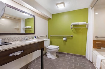 Room, 1 Queen Bed, Accessible, Non Smoking (Mobility, Roll-In Shower)
