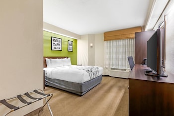 Room, 1 Queen Bed, Accessible, Non Smoking (Mobility, Roll-In Shower)