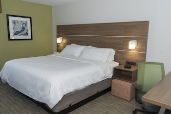 Suite, 1 King Bed