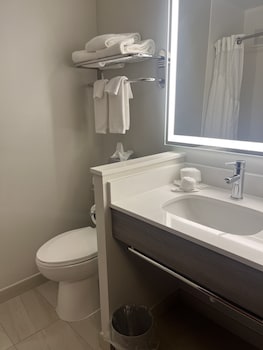 Suite, 1 King Bed