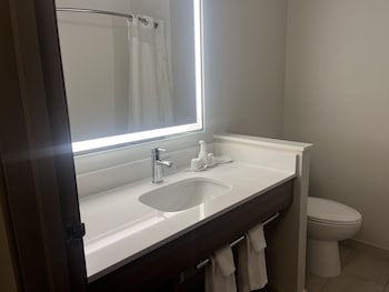 Suite, 1 Queen Bed, Fireplace