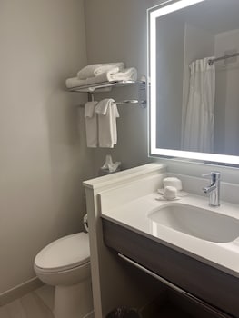 Suite, 1 King Bed