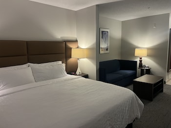 Suite, 1 King Bed
