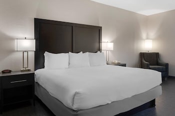 Standard Room, 1 King Bed, Non Smoking