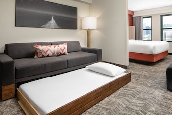 Suite, 1 King Bed with Sofa bed