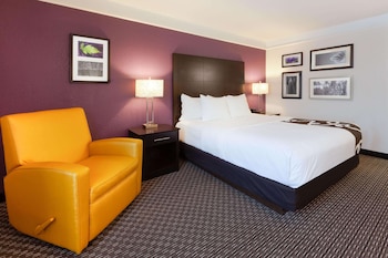 Room, 1 King Bed, Non Smoking