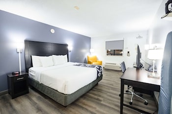 Room, 1 Bedroom, Non Smoking (1 King Bed)