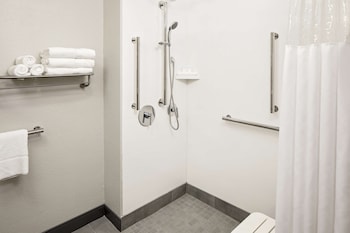 Standard 1 King w/ Rollin Shower, Hearing Acc.