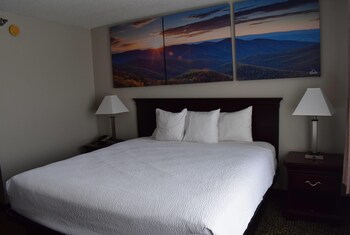 Room, 1 King Bed, Non Smoking
