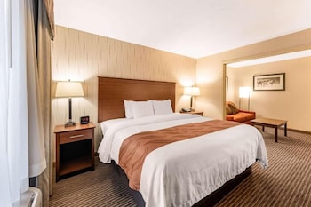Suite, 1 King Bed, Non Smoking