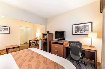 Suite, 1 King Bed with Sofa bed, Accessible, Non Smoking