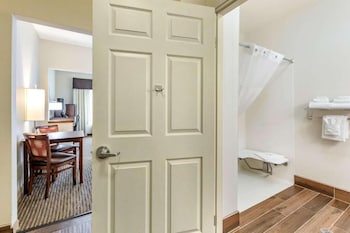 Suite, 1 Queen Bed with Sofa bed, Accessible, Non Smoking