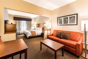Suite, 1 King Bed with Sofa bed, Accessible, Non Smoking