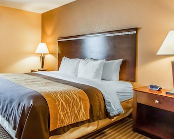 Standard Room, 1 King Bed, Non Smoking