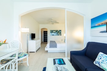 Standard Plus - 1 King Bed
