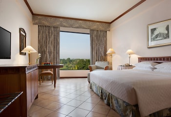 Room, 1 King Bed
