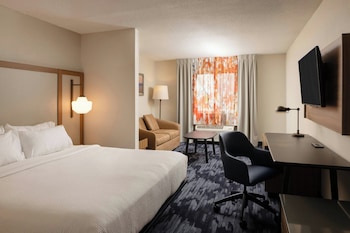 Suite, 1 King Bed with Sofa bed