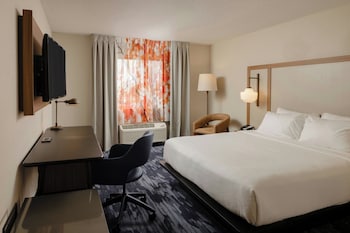 Room, 1 King Bed