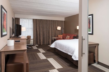 Room, 1 King Bed, Accessible, Non Smoking