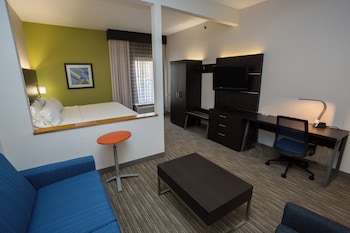 Suite, 1 King Bed with Sofa bed