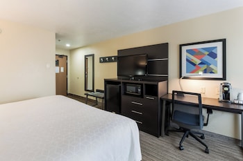 Standard Room, 1 King Bed, Accessible (Mobility, Accessible Tub)