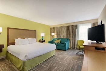 Room, 1 King Bed with Sofa bed, Accessible, Bathtub (Mobility & Hearing)