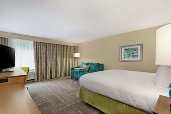 Room, 1 King Bed with Sofa bed, Refrigerator & Microwave