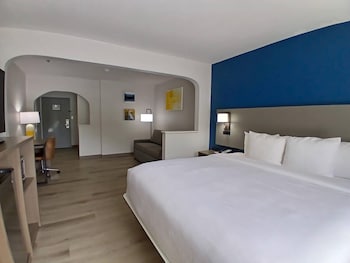 Executive Suite, 1 King Bed with Sofa Bed, Ground Floor
