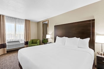 Standard Room, 1 King Bed, Non Smoking