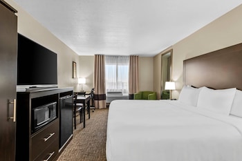 Standard Room, 1 King Bed, Non Smoking