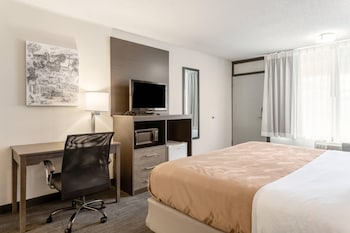 Room, 1 King Bed, Accessible, Non Smoking