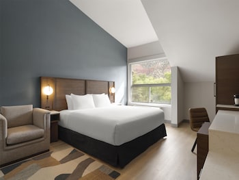 Room, 1 King Bed, Accessible Bath Tub