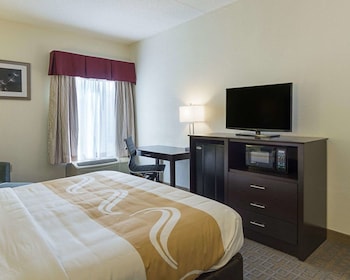 Standard Room, 1 King Bed, Non Smoking, Refrigerator & Microwave