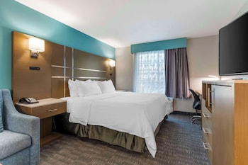 Suite, 1 King Bed with Sofa bed, Non Smoking, Refrigerator & Microwave (with Sofabed)