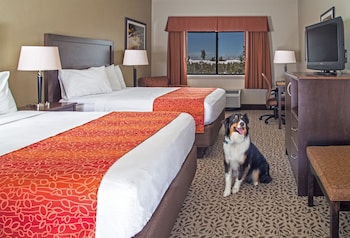 Deluxe Room, 2 Queen Beds (Pet Friendly)