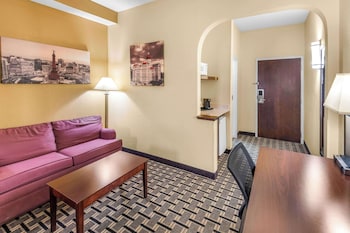 Suite, 1 King Bed with Sofa bed