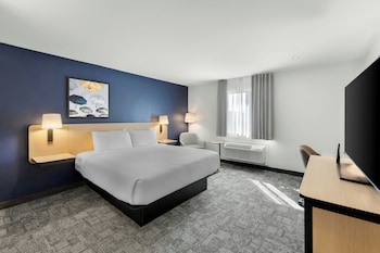 Room, 1 King Bed