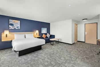 Room, 1 King Bed with Sofa bed
