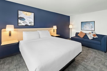 Room, 1 King Bed with Sofa bed